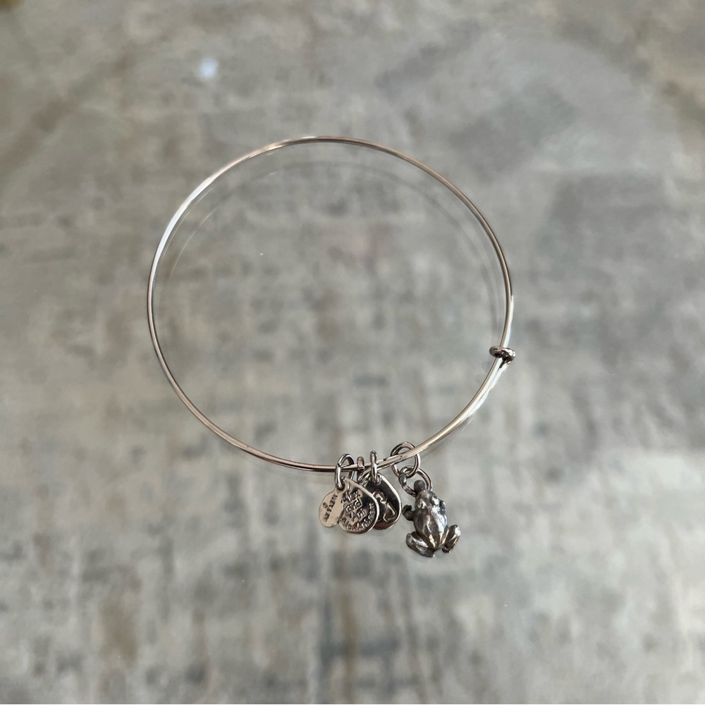 Alex and Ani Frog Charm Bangle